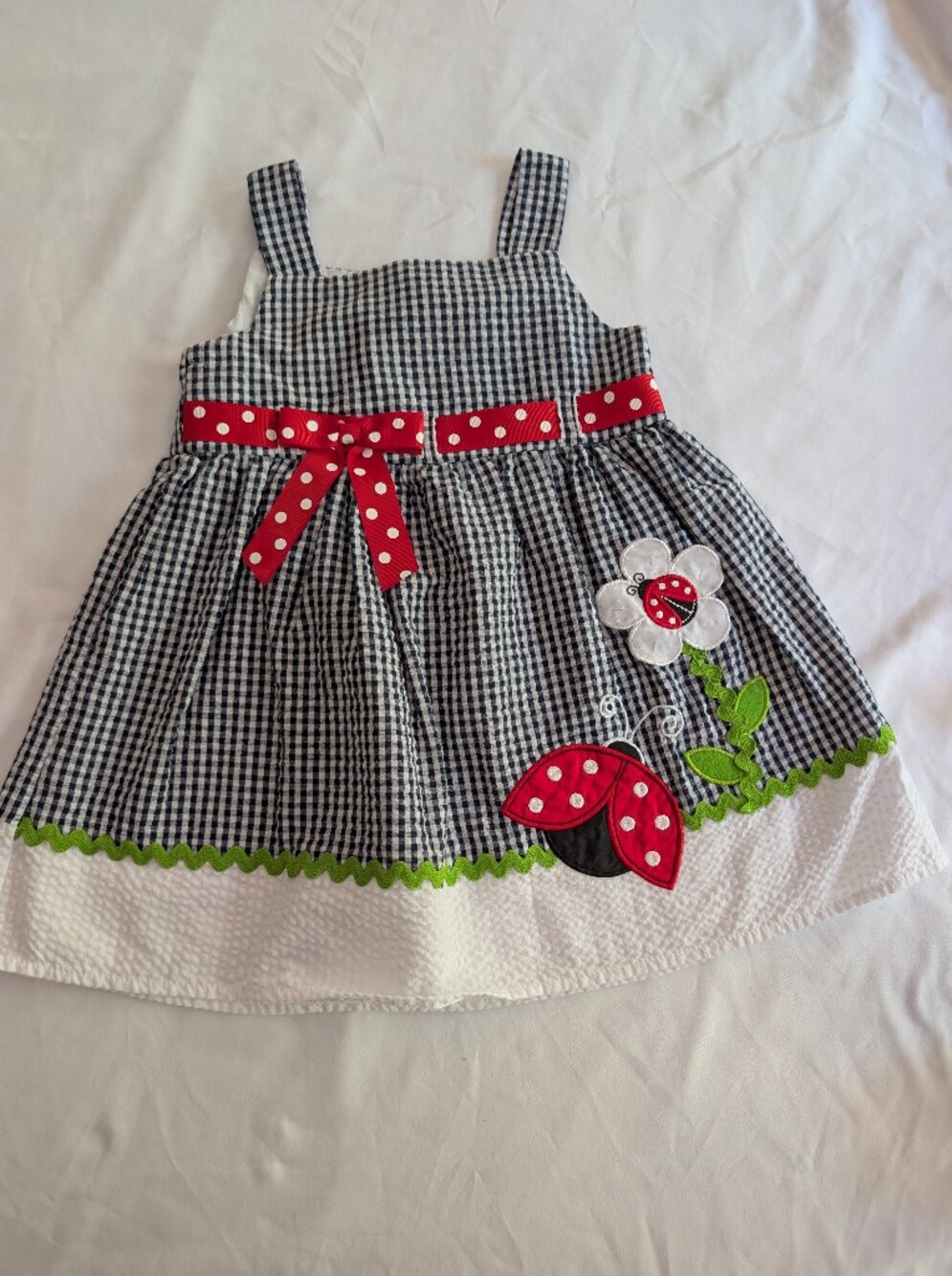 Rare Editions Black Gingham Dress with Red Accents 2t